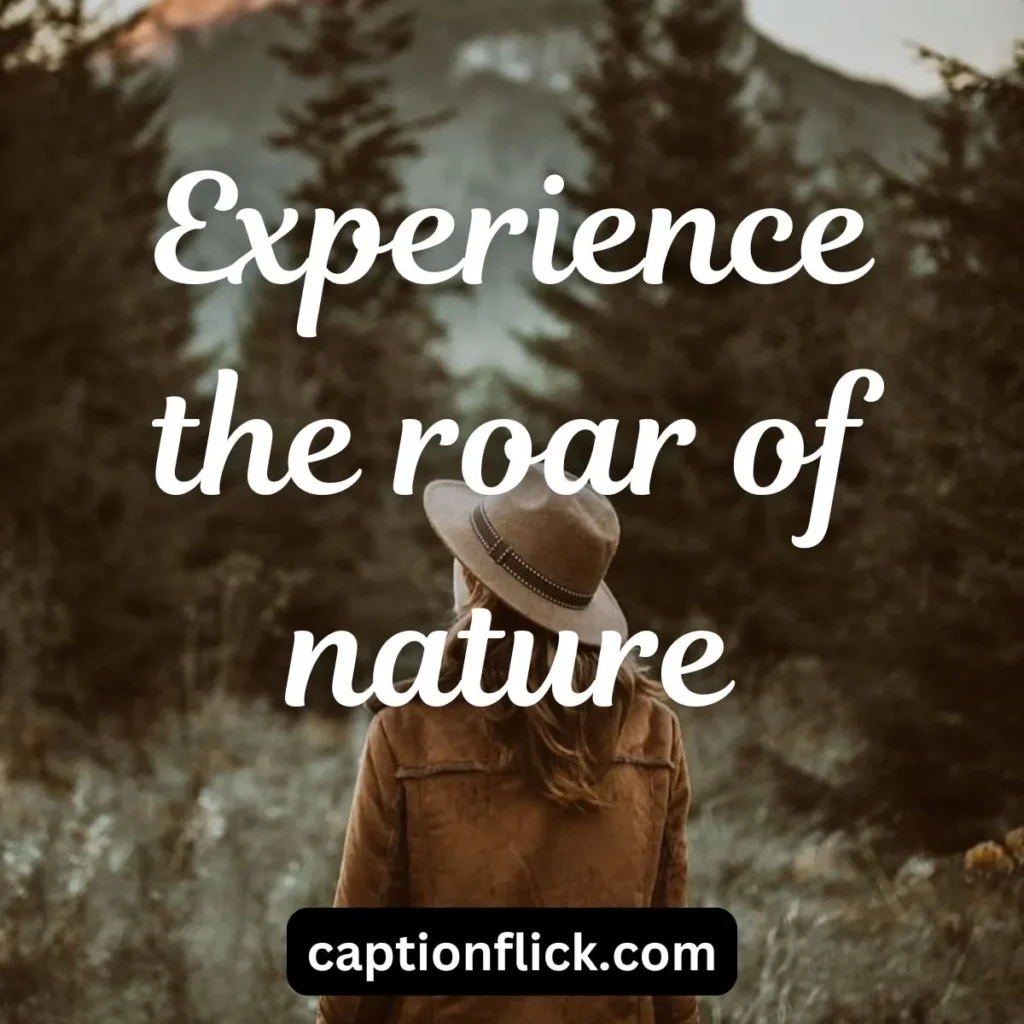 Jungle Vibes: Nature and Wildlife Captions